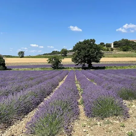 Maison De Avec Piscine A Grignan-drome Provencale * 格里尼昂