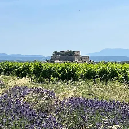 Maison De Avec Piscine A Grignan-drome Provencale 度假居